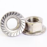 SS Flange Nut 4mm