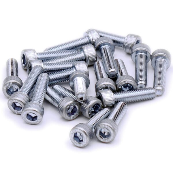 SS Allen Bolt 8mmX65mm (100pc)