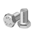 SS Hex Bolt