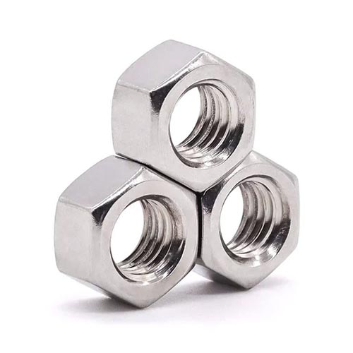 SS Hex Nut 202